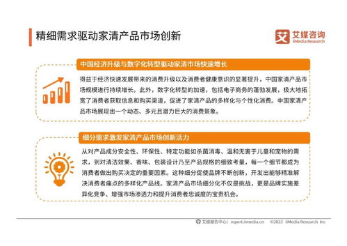 2024年中國家清產(chǎn)品消費趨勢洞察與知識產(chǎn)權(quán)保護